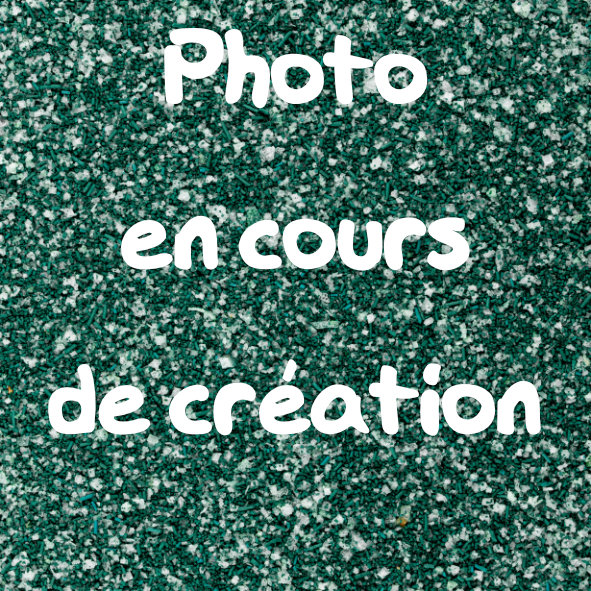 Fleur sel boîte 100 grammes