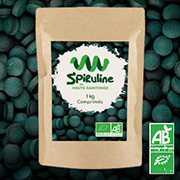 Paillettes de spiruline